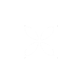 capital-dingbat